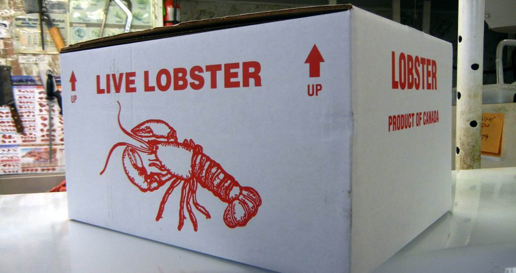Lobster Supplier International. Buy Lobster, Lobster Delivery